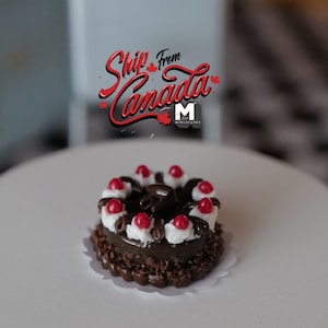 1:12 scale Dollhouse Supplies miniature Cherry and Chocolate Cake E012