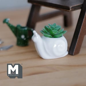 May include: A white ceramic snail planter with a green succulent plant inside. The planter is sitting on a wooden surface.