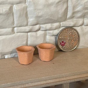 May include: Two small terracotta pots, approximately the size of a Canadian twenty-five cent coin, are shown on a wooden surface. The pots are unglazed and have a rustic appearance.