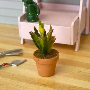 1:12 Miniature Clay Planter Leaves , Miniature Cactus , Miniature Leaf , Dollhouse Supplies Flowers , Miniature Flowers - F086