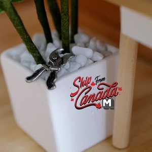 Op de afbeelding: Een witte vierkante plantenbak met een klein groen plantje en een zilveren snoeischaar. De plantenbak staat op een houten oppervlak. De tekst "Ship from Canada" is zichtbaar op de plantenbak.