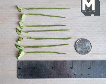 1/12スケール ミニチュア斑入り葉植物の茎、7本セット、長さ最大2-5/8インチ、DIYドールハウス用品