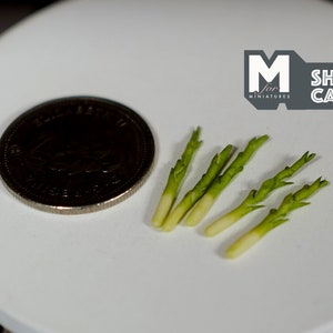 1:12 Puppenhaus Zubehör Miniatur Gemüse 5 x Spargel - D058