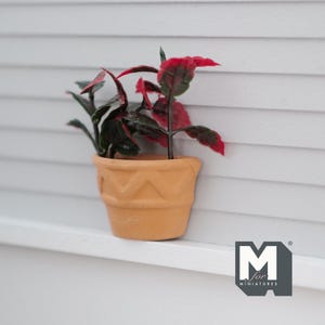 May include: A small terracotta pot with a decorative pattern holds a miniature plant with dark green leaves and red accents. The pot is sitting on a white shelf.