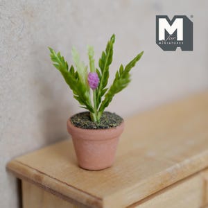 May include: A miniature potted plant in a terracotta-colored pot with green serrated leaves and a single small purple flower bud. The soil surface is textured with dark particles. The logo M for Miniatures is visible in the upper right corner.