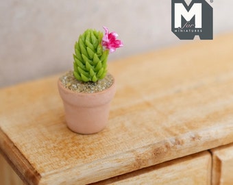 Miniature Cactus in Round Clay Pot 1:12 Scale Dollhouse Garden Flowers and Leaves (Short) - H018