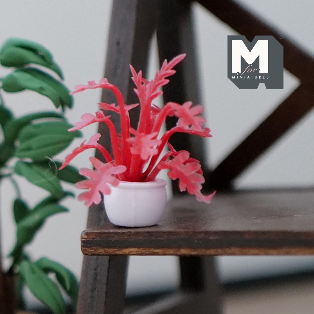 Oggetti In Miniatura Set Di 10 Mini Piante E Fiori In Vaso Per Case Delle Bambole In Scala 1:12 - Accessori Giardino Casa Bambole PLANWALK Oggetti In Miniatura Set Di 10 Mini Piante E Fiori In Vaso Per Case Delle Bambole In Scala 1:12 - Accessori Giardino Casa Bambole PLANWALK