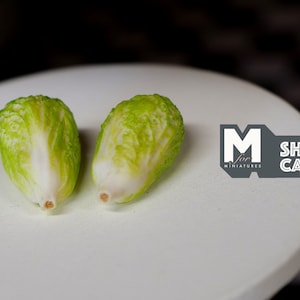 1:12 Suministros para casas de muñecas Miniatura Vegetal 2 x repollo napa E061