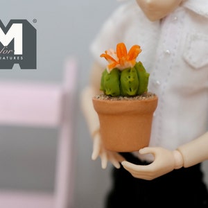 1:12 Miniature Cactus in Round Clay Pot Dollhouse Supplies Garden Flowers and Leaves (Short) - F087
