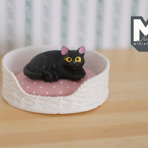 1:12 Dollhouse Miniature cat kitten 1 12th pet (Bed is not included) - C048
