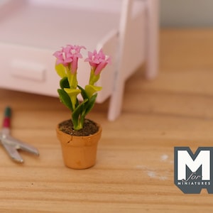 1:12 Miniature Clay Planter Pot , Miniature Potted Flowers , Dollhouse Potted Flowers , Dollhouse Flowers , Miniature Flowers - F088