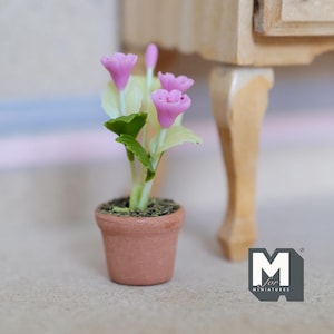 May include: A miniature potted plant featuring three small pink trumpet-shaped flowers with light green stems and leaves, set in a terracotta-coloured clay pot filled with dark soil. The logo M for MINIATURES is visible in the bottom right corner.