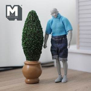 Könnte beinhalten: Ein Miniatur-Topiari-Baum in einem braunen Topf. Eine graue Mannequin trägt ein blaues kurzärmeliges Hemd und Jeansshorts. Das Logo "M for MINIATURES" befindet sich in der oberen linken Ecke.