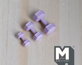 Miniatur Hexagon Handgewichte 1:12 Puppenhaus Zubehör Hanteln Hebegewichte 3er-Set (lila) - G063