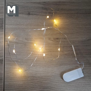 Può includere: Una stringa di piccole luci LED bianche calde su un filo sottile argentato. Le luci sono alimentate da un piccolo pacco batteria bianco. Il logo "M for Miniatures" si trova in alto a sinistra.