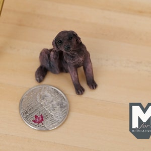 1:12 Dollhouse Miniature Puppy Dog C055 image 4