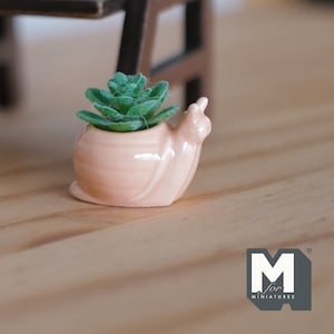 May include: A small, pink ceramic snail planter with a green succulent plant inside. The snail planter is a miniature home decor item.