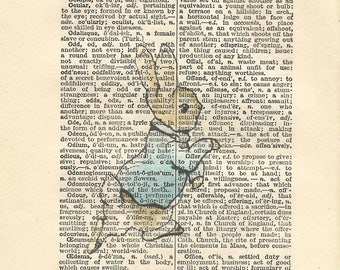 peter rabbit quote etsy