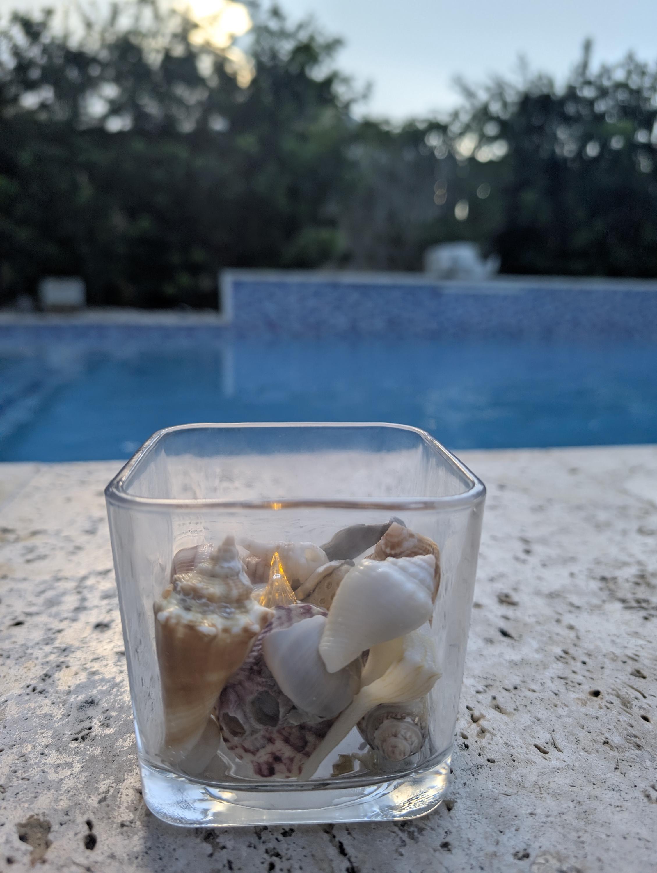 Authentic Seashell Centerpieces With Tealight. - Etsy