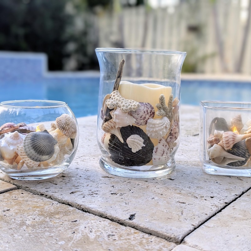Seashell Centerpiece - Etsy