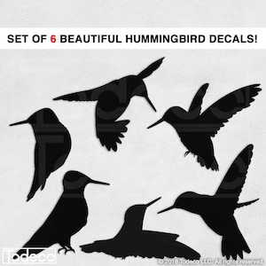 Hummingbirds Wall Decal  - Set of 6 Birds Total - Humming Bird Silhouette Decal Vinyl Wall Sticker A Todeco Product