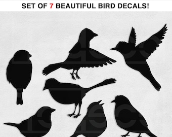 Birds Wall Decal Vinyl Wall Sticker - Set of 7 Birds Total - A Todeco Product