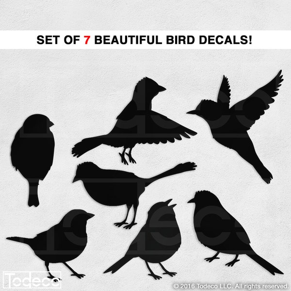 Birds Wall Decal Vinyl Wall Sticker - Set of 7 Birds Total - A Todeco Product