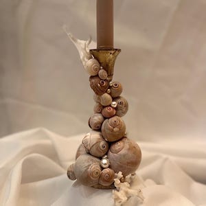 Puede incluir: Un candelabro decorativo adornado con conchas marinas y perlas. El soporte tiene una base dorada y una vela marrón. Las conchas marinas son de varios tamaños y tonos de marrón y beige, con algunos acentos de coral blanco.