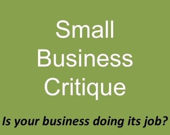 Small Business Critique