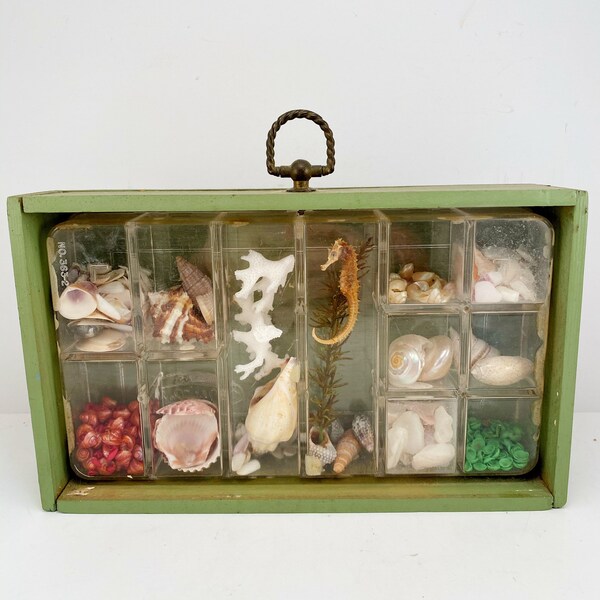 Vintage wooden shadow box filled with shells and a seahorse