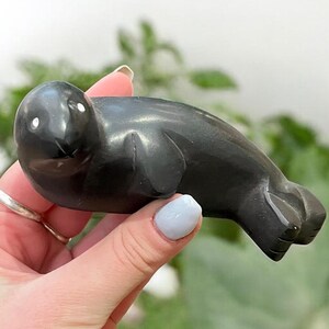 May include: A black, hand-carved stone sculpture of a seal. The seal is lying on its side with its head turned to the side. The sculpture is smooth and polished.