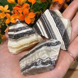 One Rough Zebra Onyx Stone, Natural Zebra Onyx, Root Chakra, Mexican Onyx, Grounding Stone, Collectors Stone, Black and White Onyx