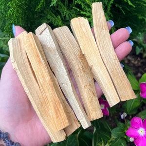 Organic Wholesale Palo Santo Sticks from Peru Bursera Graveolens Bulk - Sustainable Holy Wood with Free Shipping and Affordable Prices