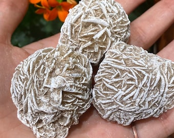 One Desert Rose Stone, Selenite Bud, Desert Rose Selenite, Gypsum, Genuine Desert Rose Specimen, Sand Rose, Root Chakra, Grounding Energy