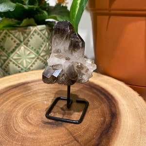 Smoky Cluster on Metal Stand, Smoky Quartz Cluster Stand, Smoky Quartz Mini Pin, Smokey Quartz Chunk, Raw Smoky Cluster Mini Pin, November