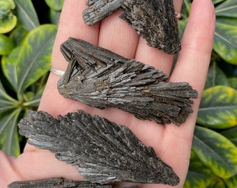 Raw Black Kyanite