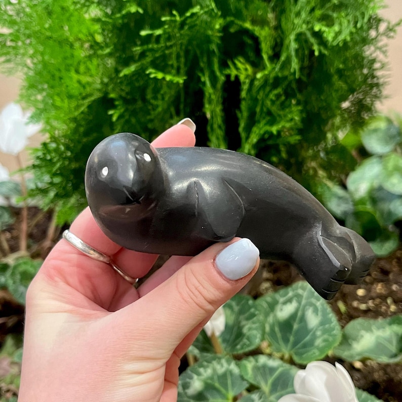 May include: A black carved stone seal figurine with white eyes. The seal is lying on its belly with its flippers outstretched.