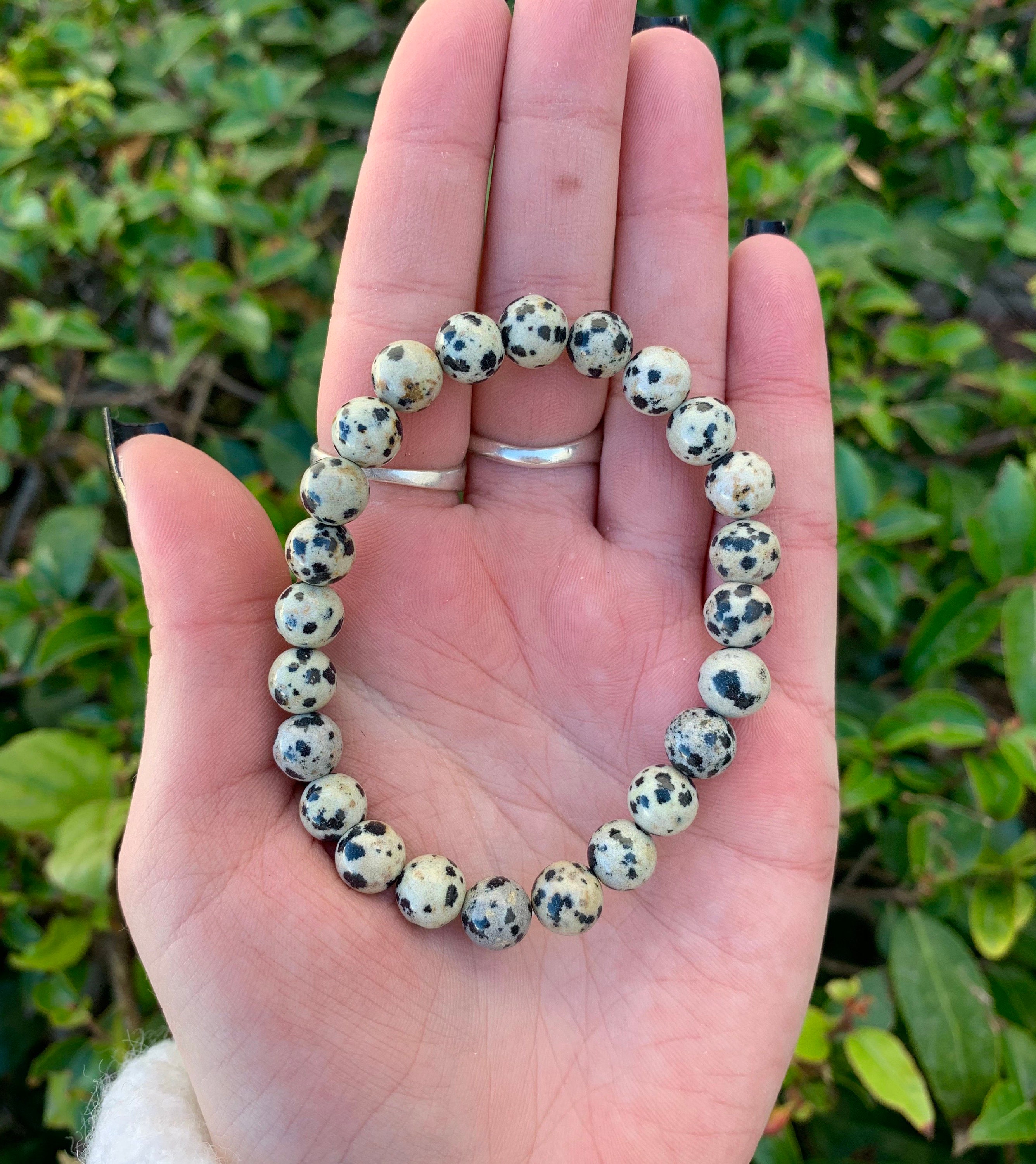 Dalmatian jasper best sale bracelet