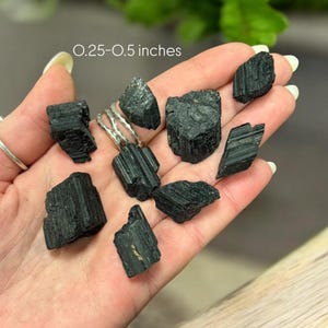 May include: A collection of ten black tourmaline crystals, ranging in size from 0.25 to 0.5 inches. The crystals are rough and have a natural, unpolished appearance.