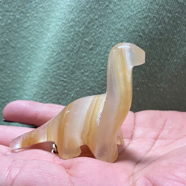 Small Amber Onyx Apatosaurus Dinosaur, Dinosaur Carving, Paleontology, Crystal Dinosaur, Polished Apatosaur, Jurassic, Herbivore, Sauropod