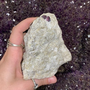 May include: A rough, white, and gray rock with two small, dark red crystals embedded in it.