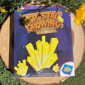 Crystal Growing Kit, Science Project, Kids Learning Kit, Earth Science, Experiment Kit, Stocking Stuffer, Kids Science Kit, STEM