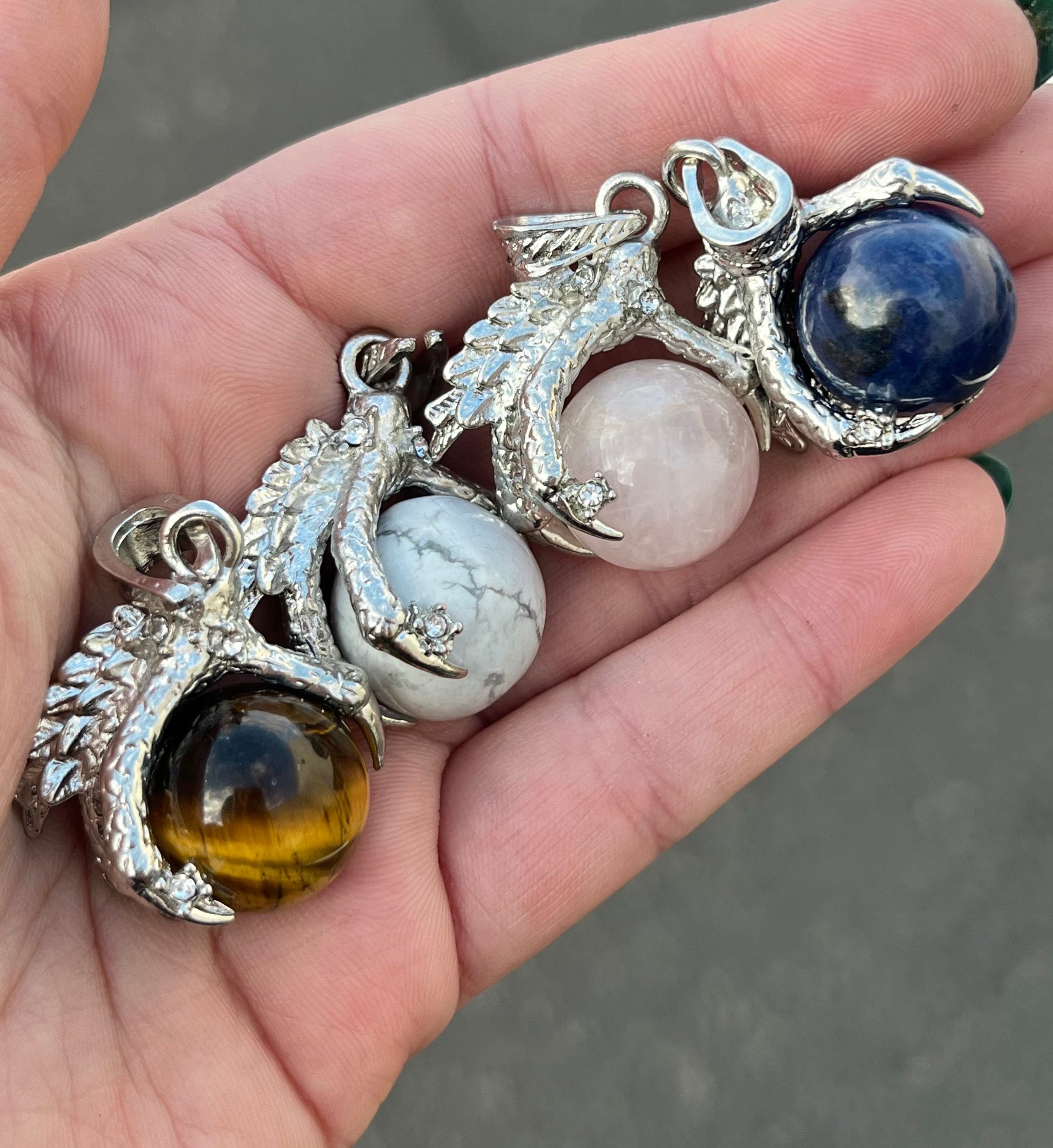 IRAN Reza産 Agave Dragon claw Iran Titanota's Dragon Claw