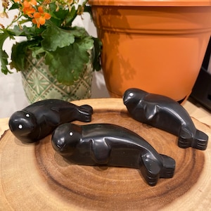 May include: Three black, hand-carved, polished stone sculptures of seals on a wooden surface. The seals have white eyes and are in various poses.