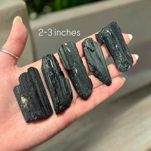 May include: Six black tourmaline crystal points, measuring 2-3 inches long, are held in a hand. The crystals are dark black with a slight sheen.