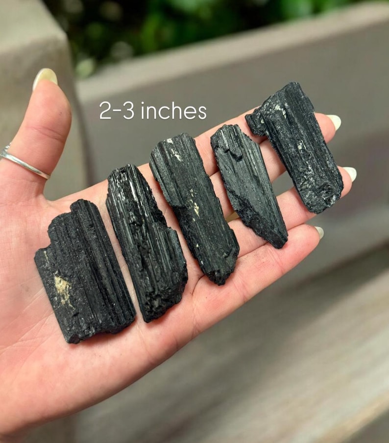 May include: Six black tourmaline crystal points, measuring 2-3 inches long, are held in a hand. The crystals are dark black with a slight sheen.