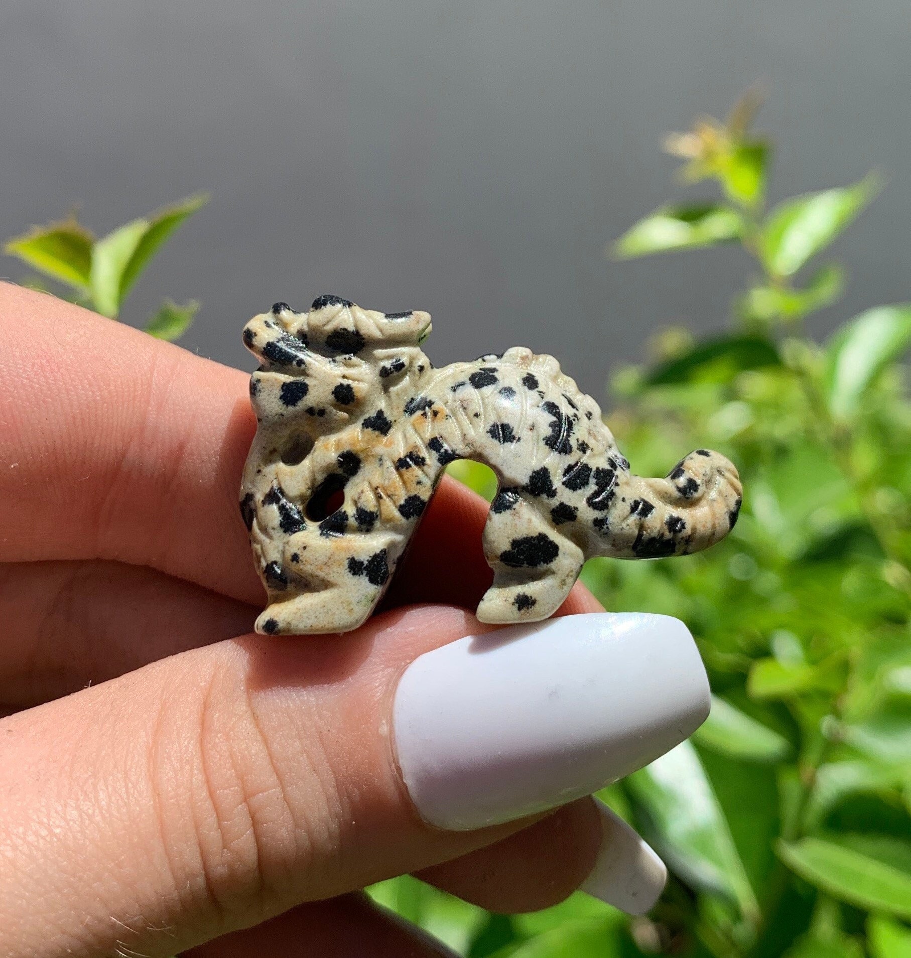 Mini Dalmatian Jasper Dragon Carving, Hand Carved Statue, Root