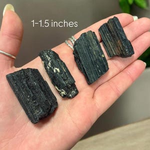 May include: Four black tourmaline crystal points, measuring 1-1.5 inches, are held in a hand. The crystals are raw and have a natural, rough texture.