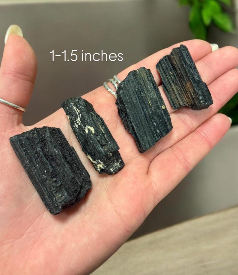 May include: Four black tourmaline crystal points, measuring 1-1.5 inches, are held in a hand. The crystals are raw and have a natural, rough texture.