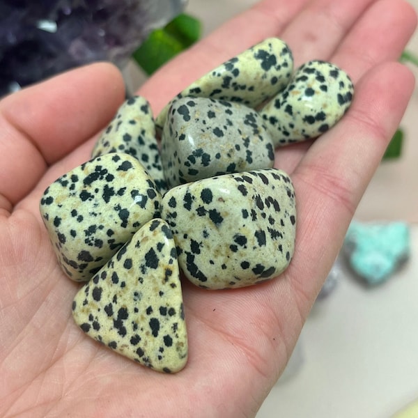 One Dalmatian Jasper Tumbled Stone, Pocket Stone, Sacral Chakra, Root Chakra, Inner Child Energy, Healing, Meditation & Manifestation, Grid